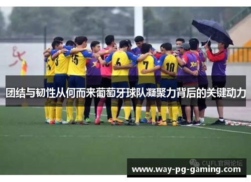 团结与韧性从何而来葡萄牙球队凝聚力背后的关键动力