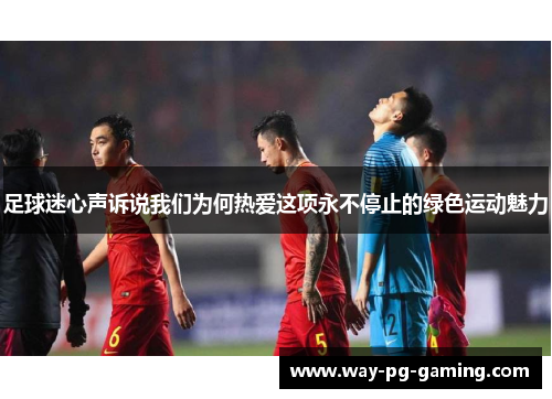 足球迷心声诉说我们为何热爱这项永不停止的绿色运动魅力