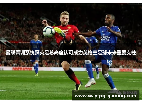 曼联青训系统获英足总高度认可成为英格兰足球未来重要支柱 曼联青训系统获英足总高度认可成为英格兰足球未来重要支柱