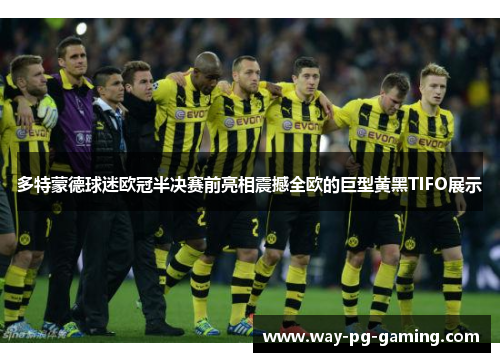 多特蒙德球迷欧冠半决赛前亮相震撼全欧的巨型黄黑TIFO展示 多特蒙德球迷欧冠半决赛前亮相震撼全欧的巨型黄黑TIFO展示